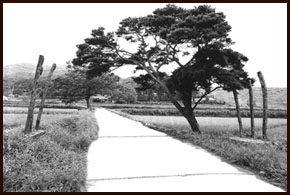 Jangseung1