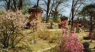 Amisan Garden