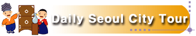 Daily Seoul City Tour