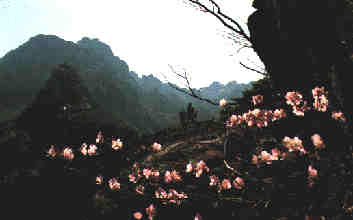 wolchulsan7