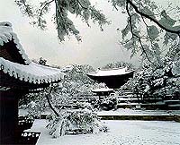 Biwon4